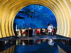 -迪拜帆船酒店海底餐厅