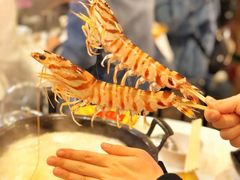 -鲜入围煮花胶鸡海鲜火锅