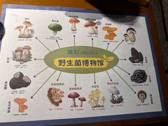 -菌彩云南野生菌火锅(万达广场店)