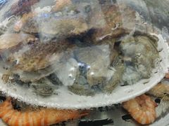 -港畔赶海蒸汽海鲜烧烤自助(仙螺岛店)