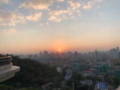-金鸡山公园