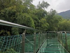 -陶祖圣境风景区