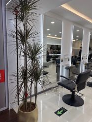 -HaLo hair studio