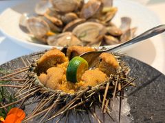 -品海楼·大连海胆锅贴馆(东港店)