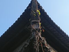 -韩湘水博园