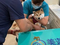 -美迦爱-牙专科·兔科·骨科诊疗中心(北苑店)