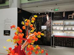 -吴良材眼镜(七重天新视场店)