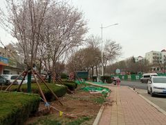 -丹香(中城路店)