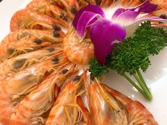 白灼斑节虾-潮人姐妹轩(海宁路店)
