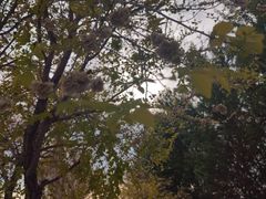 -鸡鸣山旅游风景区