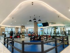 -章鱼健身 Octopus