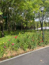 点击看大图 -大望京儿童游乐场