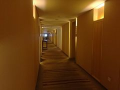 -电谷雅阁国际大酒店