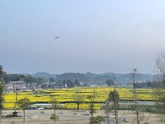 -黄龙溪古镇