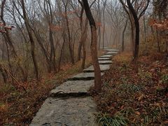 -镇江市南山风景名胜区竹林景区