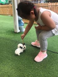 -萌宠亲子动物乐园(槐房万达店)