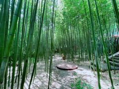 -泰山风景名胜区-普照寺