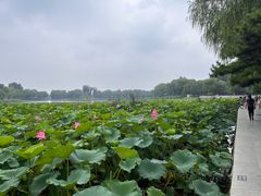 -郭守敬纪念馆