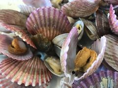 -港畔赶海蒸汽海鲜烧烤自助(仙螺岛店)