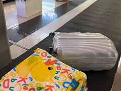 -德宏芒市国际机场