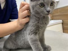 -爱侣宠医·鹦鹉专科·小型哺乳类·异宠专科(灵石路店)