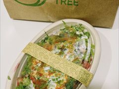 -油梨树AVOCADO TREE(望京店)