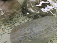 -雅安楠水阁温泉酒店