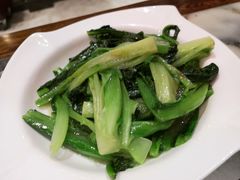 油麦菜-海王老记