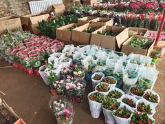 -包头市畅兴现代农业园