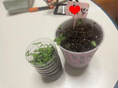 -斯坦星球AI编程·机器人科创·科学实验·信奥·思维·STEM·积木拼搭·竞赛考级(浦东联洋广场大拇指龙阳御桥中心)