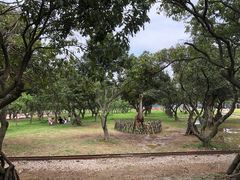 -长洲岛都市农业公园