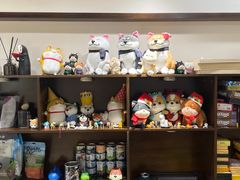 零售区-逗柴咖啡屋·狗咖猫咖宠物桌游