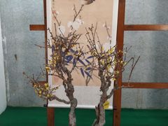 -无锡梅园公园
