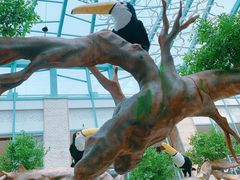 -大族广场Mall&More