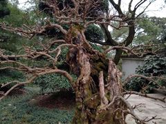 -南山植物园
