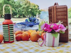 -上海共青森林公园