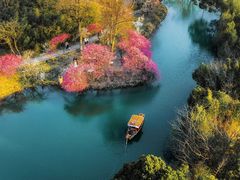 -西溪国家湿地公园