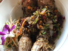 -Onion restaurant