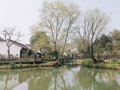 -西溪国家湿地公园