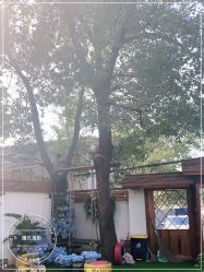 -瞳孔摄影(植物园路店)