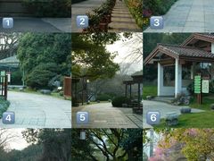 -中国茶叶博物馆(双峰馆区)