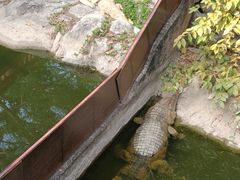 -清迈夜间动物园