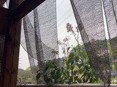 -伴山茶苑·围炉煮茶