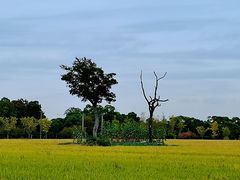 -嘉北郊野公园