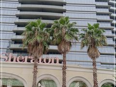-绿城千岛湖喜来登度假酒店