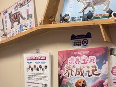 -美联众合爱康动物医院•复杂内科•肿瘤科•牙科•腔镜诊疗中心