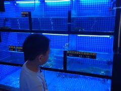 -千岛湖小鱼儿·淳安匠心农家菜