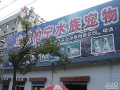 -山东柏宁水族批发广场