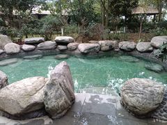 -英德宝晶宫天鹅湖茶语温泉