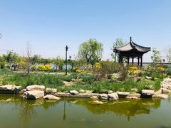 -水西公园